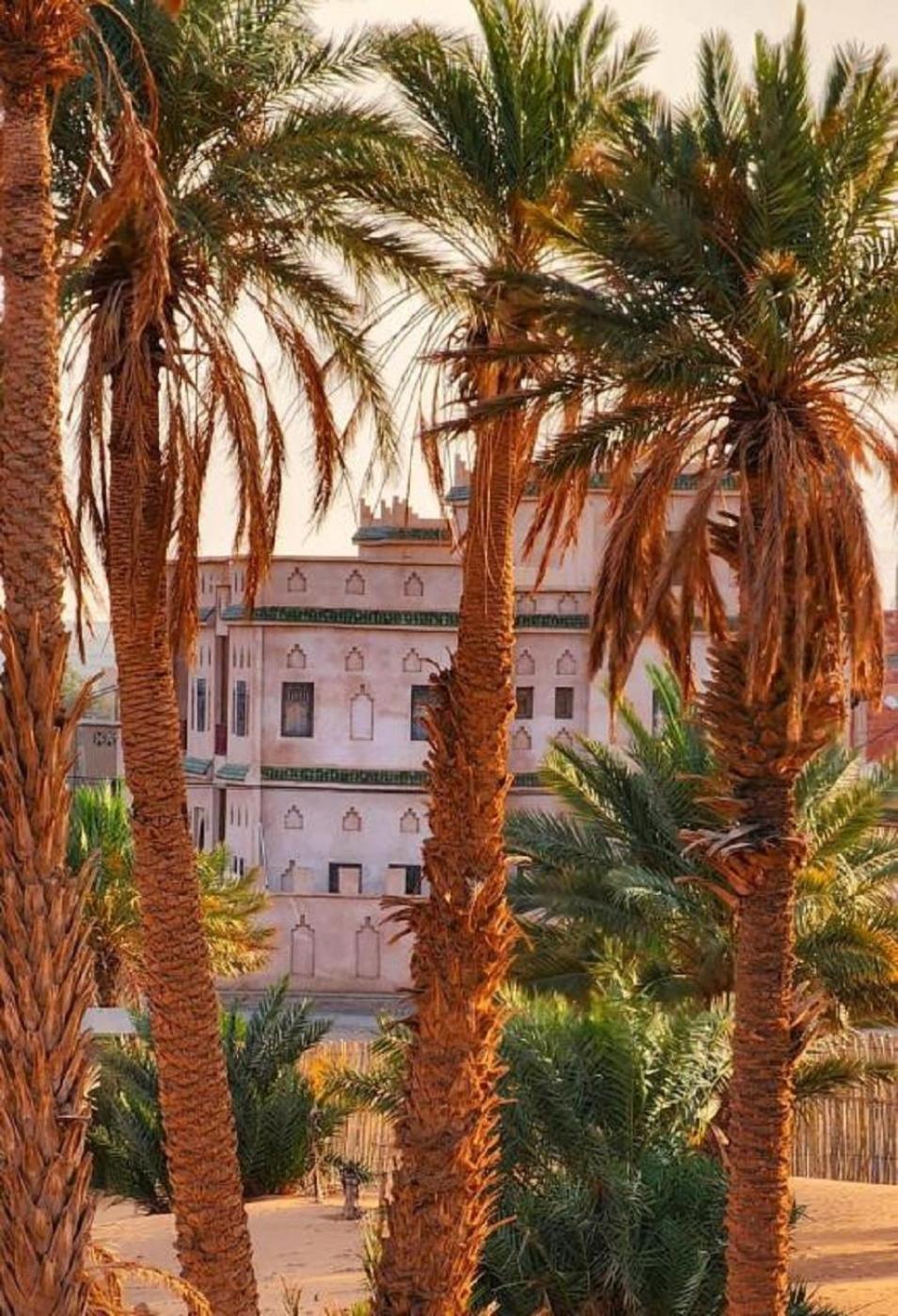 Desert Villa Boutique Hotel メルズーガ エクステリア 写真